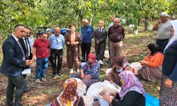 CHP İl Başkanı Solmaz: “Ceviz Üretiminde Yanlış Politikalar Üreticiyi Bitiriyor”