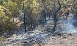 Amasya'da çıkan orman yangını söndürüldü