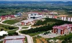 Kastamonu Üniversitesi’nin geliştirdiği antibakteriyel ahşap üretim yöntemi patent aldı