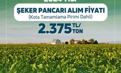 2024 Şeker Pancarı Alım Fiyatı Belli Oldu! İşte Türkşeker’in Yeni Fiyatı