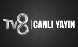 TV8 Türkiye Galler maçı canlı izle! TV8 şifresiz canlı yayın linki