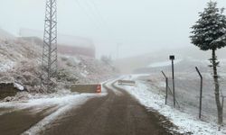 Bolu ve Karabük'ün yüksek kesimlerine kar yağdı