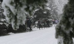 Bolu'nun yüksek kesimlerinde kar yağışını fırsat bilen kayaklı koşu sporcuları antrenmanlara başladı