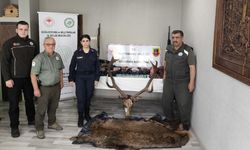 Kastamonu'da yakalanan avcıların evinde geyik eti ve bu etten yapılan sucuk ele geçirildi