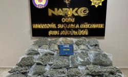 Ordu'da tırda 68 kilo 500 gram skunk ele geçirildi