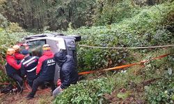 Rize'de uçuruma yuvarlanan kamyonetin sürücüsü yaralandı