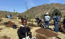 TİKA’dan kuruluşunun 200. yılında Lesotho Krallığı’na 2000 fidan