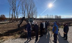 Veli Çayırı'nda ağaçlandırma çalışmaları başladı: Yeni Otopark Doğa ile bütünleşiyor