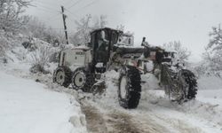 Artvin'de 58 köy yolunu ulaşıma açma çalışmaları devam ediyor