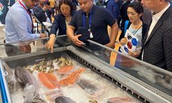 Türk somonu "China Fisheries & Seafood Expo 2024"te tanıtıldı