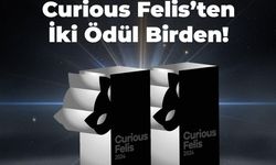 Kiğılı’ya, Curious Felis 2024’ten iki gümüş ödül