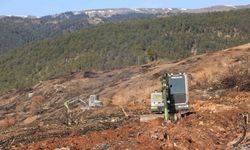 Yangında küle dönen Ilgaz Dağı yeniden yeşillenecek