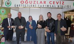 Yeşilin ve bereketin şehri Çorum, Ceviz Fuarı'yla göz kamaştırdı