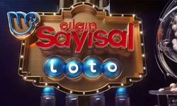 Çılgın Sayısal Loto'nun kazandıran rakamları belli oldu! Çılgın Sayısal Loto sonuç sorgulama ekranı