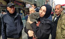 Çorum'daki patlamada mahsur kalan kedi, 1 gün sonra kurtarıldı