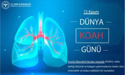 15 Kasım Dünya KOAH günü: Nefesinizin kıymetini bilin!