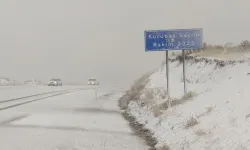 Van'da yoğun kar yağışı ve sis sürücülere zor anlar yaşattı