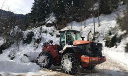 Doğu Karadeniz'de karla mücadele çalışmaları devam ediyor