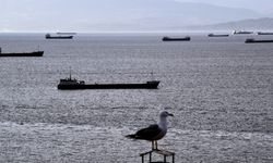 Meteorolojik uyarının ardından yük gemileri Sinop'un doğal limanına sığındı