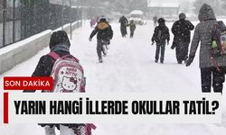 Yarın hangi illerde okullar tatil? 17 Aralık 2024 okullar tatil mi?