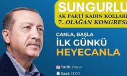 AK Parti Sungurlu İlçe Kadın Kolları Kongresi 29 Aralık'ta!