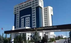 Tarım ve Orman Bakanlığı 99 personel alacak: İşte başvuru şartları