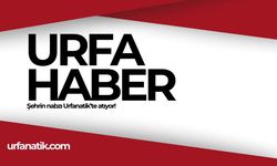 Urfa Haber - Urfanatik