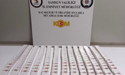 Samsun'da kaçakçılık operasyonunda 1 şüpheli yakalandı