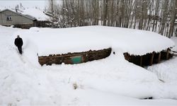 Muş'ta kar fırtınası! Bu köyde hayat durma noktasına geldi