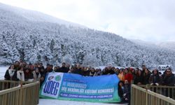Bolu'da düzenlenen "UDEG III. Uluslararası Diş Hekimliği Eğitimi Kongresi" tamamlandı