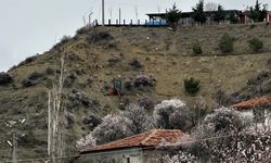 Çorum'un Sungurlu Belediyesi’nden yeni proje: Lavanta Tepesi hayata geçiyor