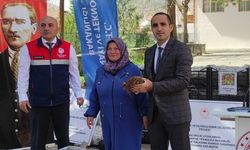 İskilip'te Çiftçiye 140 Bin Çilek Fidesi Desteği
