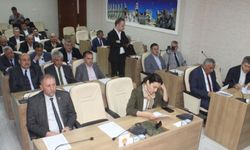 Çorum'da Sokak Hayvanları için 55 dönümlük dev yaşam alanı kuruluyor