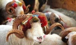 Kurban Bayramı tatili 9 gün olacak mı? Gözler kabineye çevrildi