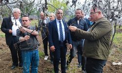“Oğuzlar doğal afet kapsamına alınsın”