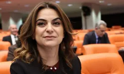 Gülistan Kılıç Koçyiğit Nereli Kimdir, Eşi, Alevi mi, Çocukları, Nerenin Milletvekili, Hangi Partili?