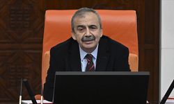Sırrı Süreyya Önder Hayatını Kaybetti: Biyografisi ve Siyasi Geçmişi