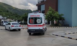 Akrebin soktuğu kadın hastanelik oldu