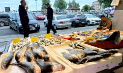 Trabzon'da balıkçı tezgahlarında bolluk yaşanıyor