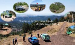 Çorum Jandarması orman yangınlarına karşı teyakkuzda: 7/24 Denetim!
