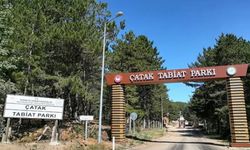 Çatak Tabiat Parkı’na gidenler geri dönmek istemiyor: Her mevsim ayrı bir manzara