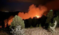 Bu kadarı da olmaz dedirten skandal: Ormanlar yanarken, 8 yangın uçağı icrada.