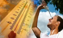 Korkutan araştırma: Avrupa'da 10 günde 1500 kişi aşırı sıcaklar yüzünden öldü