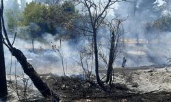 Aynı noktada ikinci kez yangın çıktı: Ekipler saatlerce müdahale etti