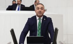 Maliyeti 19,5 TL, açıklanan fiyat 18,35 TL: Süt üreticisi isyanda