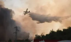 Karabük'teki orman yangınında son durum ne? Yangın söndürüldü mü, neden çıktı?