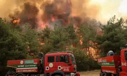 BURSA ORMAN YANGINI SON DAKİKA | Yangın kontrol altına alındı mı, söndürüldü mü? Bölgedeki son durum