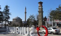Sungurlu Belediyesi İş Makinesi Operatörü alımı yapacak