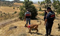 95 yaşındaki yaşlı adamdan 10 gündür haber alınamıyor