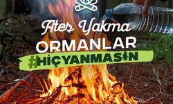 Valilikten orman uyarısı! Dikkatsizlik, binlerce ağacı yok edebilir
